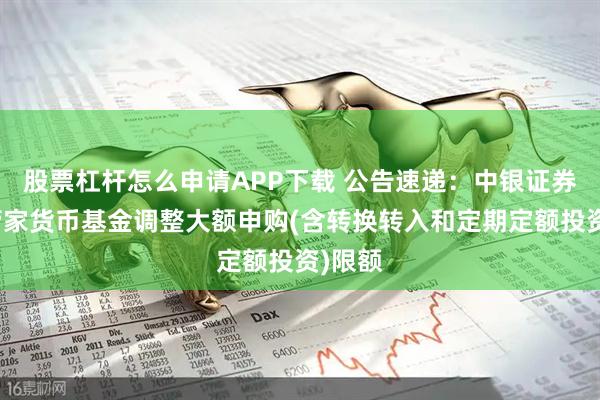 股票杠杆怎么申请APP下载 公告速递:中银证券现金管家货币基金调整大额申购(含转换转入和定期定额投资)限额