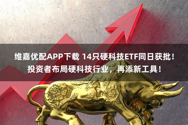 维嘉优配APP下载 14只硬科技ETF同日获批！投资者布局硬科技行业，再添新工具！