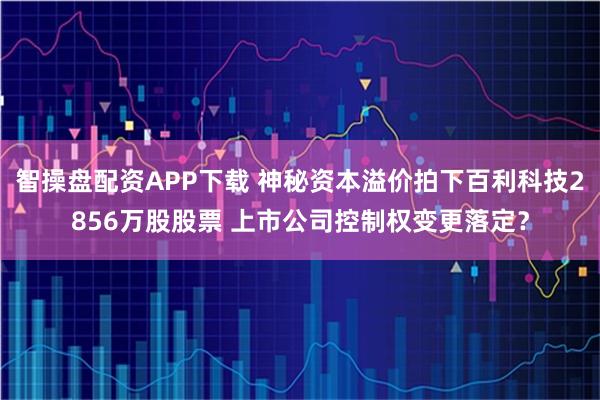 智操盘配资APP下载 神秘资本溢价拍下百利科技2856万股股票 上市公司控制权变更落定?