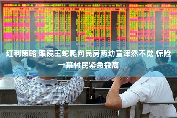 红利策略 眼镜王蛇爬向民房两幼童浑然不觉 惊险一幕村民紧急撤离
